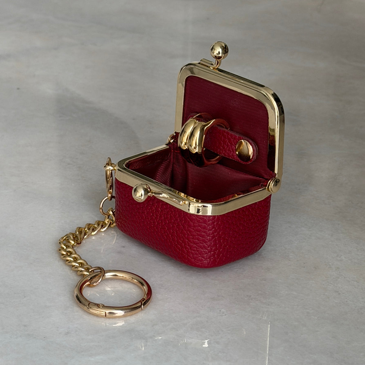 Kiss-Lock Keychain Jewelry Organizer